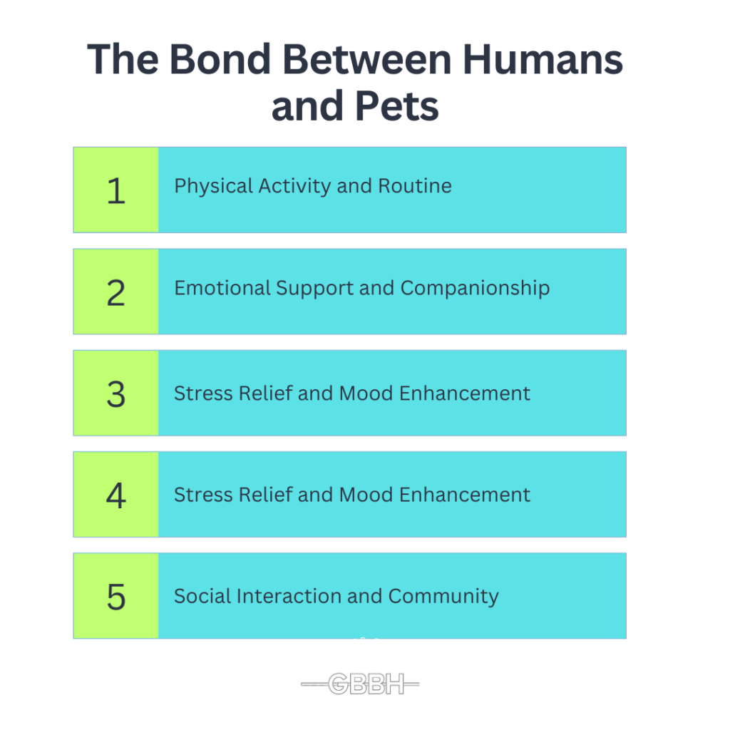 The Bond Between Humans and Pets