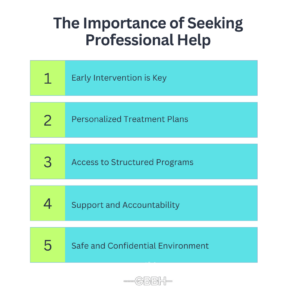 Importance of Seeking Professional Help